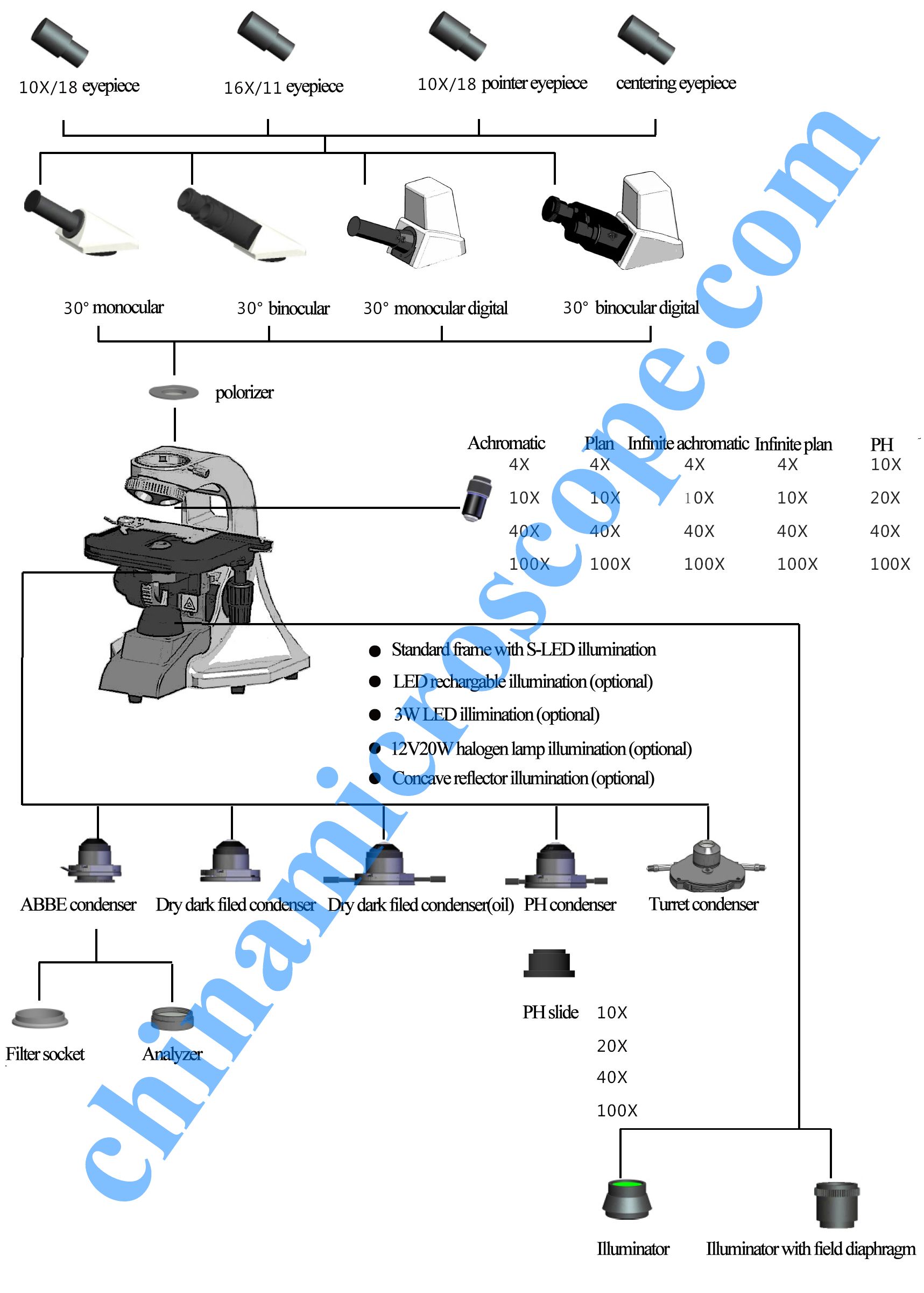 XSP-100 biological microscope – Microscope manufacturer in China ...